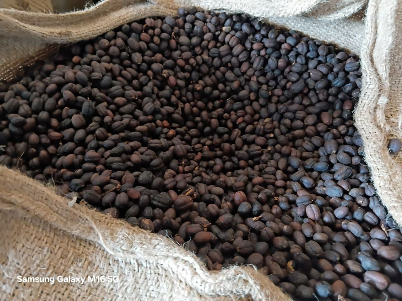 Premium Coffee